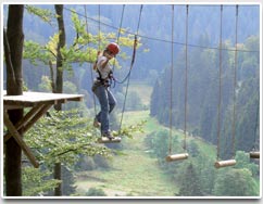 Willinger Hochseilgarten